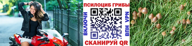 Галлюциногенные грибы Psilocybe  наркота  Семёнов 
